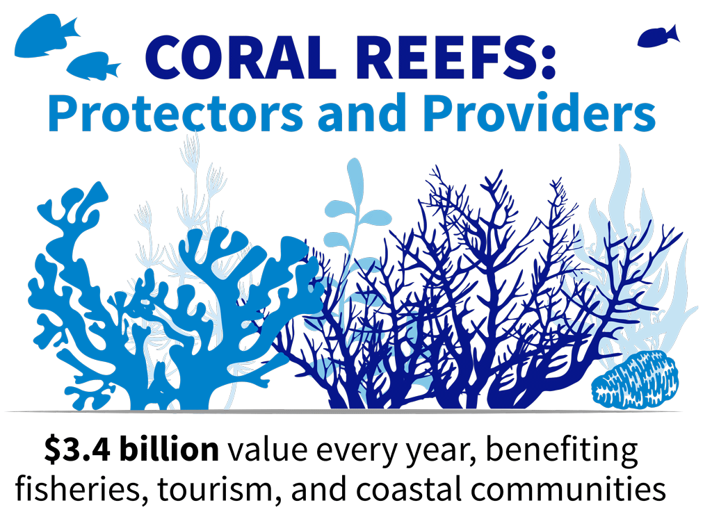 NOAACoral's tweet image. #DoYouKnow how important and valuable #CoralReefs are? You do? Kudos!
coast.noaa.gov/states/fast-fa…