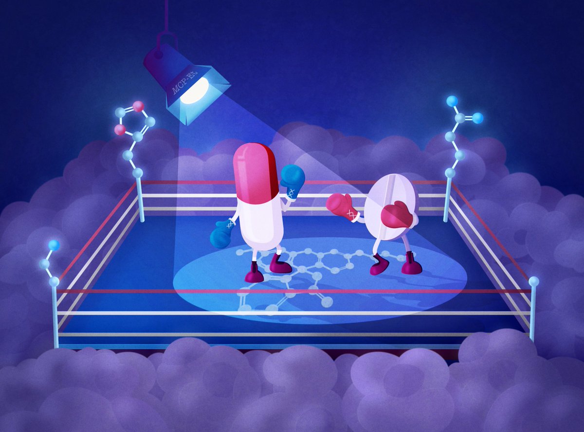 Bruna Di Giacomo tweet media