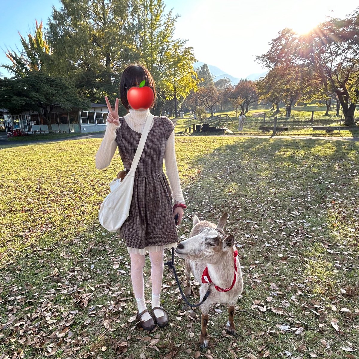 necoco__nyan's tweet photo. 今日の服装おかしすぎた ありえない
でもたのしかった ヤギの散歩とかした https://t.co/KgHyDK45AJ
