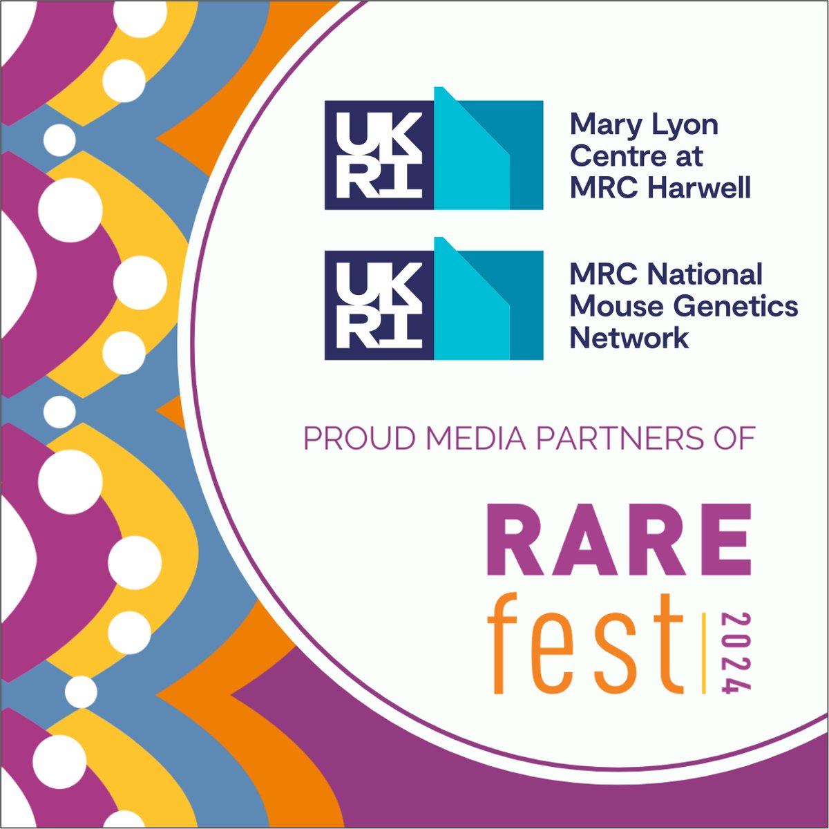 MRC National Mouse Genetics Network (@mrcmousenetwork) on Twitter photo We are proud media partners (with <a href="/MRCHarwell/">Mary Lyon Centre at MRC Harwell</a>) for <a href="/camraredisease/">Cambridge Rare Disease Network (CamRARE)</a> #RAREfest24 on 23 Nov, making #RareDiseases an everyday conversation. Get FREE tickets at bit.ly/RAREfest24_Home for this festival for curious minds celebrating science, technology, community, and the arts. We are proud media partners (with <a href="/MRCHarwell/">Mary Lyon Centre at MRC Harwell</a>) for <a href="/camraredisease/">Cambridge Rare Disease Network (CamRARE)</a> #RAREfest24 on 23 Nov, making #RareDiseases an everyday conversation. Get FREE tickets at bit.ly/RAREfest24_Home for this festival for curious minds celebrating science, technology, community, and the arts.