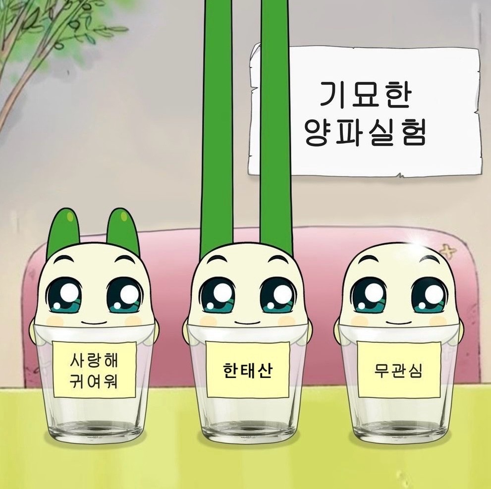 Plalvie_312429's tweet photo. https://t.co/Yg5SYOYTVN