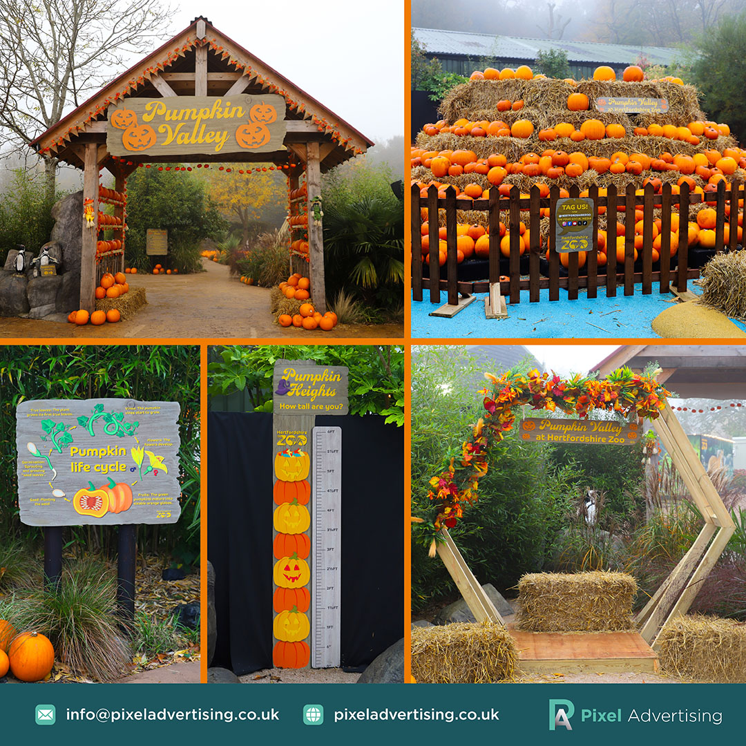 Pumpkins Galore! We’ve teamed up with Hertfordshire Zoo to create fun and informative signage for their Pumpkin Valley. From pumpkin life cycles to height charts, there’s something for everyone!
#hertfordshirezoo #signage #pumpkin #pumpkinpatch #design #marketing #printdesign