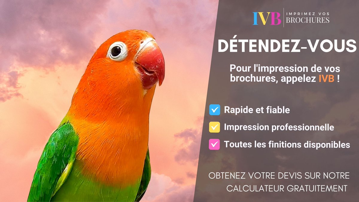 BookletsPrint's tweet photo. Votre projet mérite une attention particulière. Confiez-le à notre imprimerie pour des finitions impeccables et une qualité qui vous distingue de la concurrence. #Finitions #Qualité #Projet https://t.co/m6uNGK7Y3b