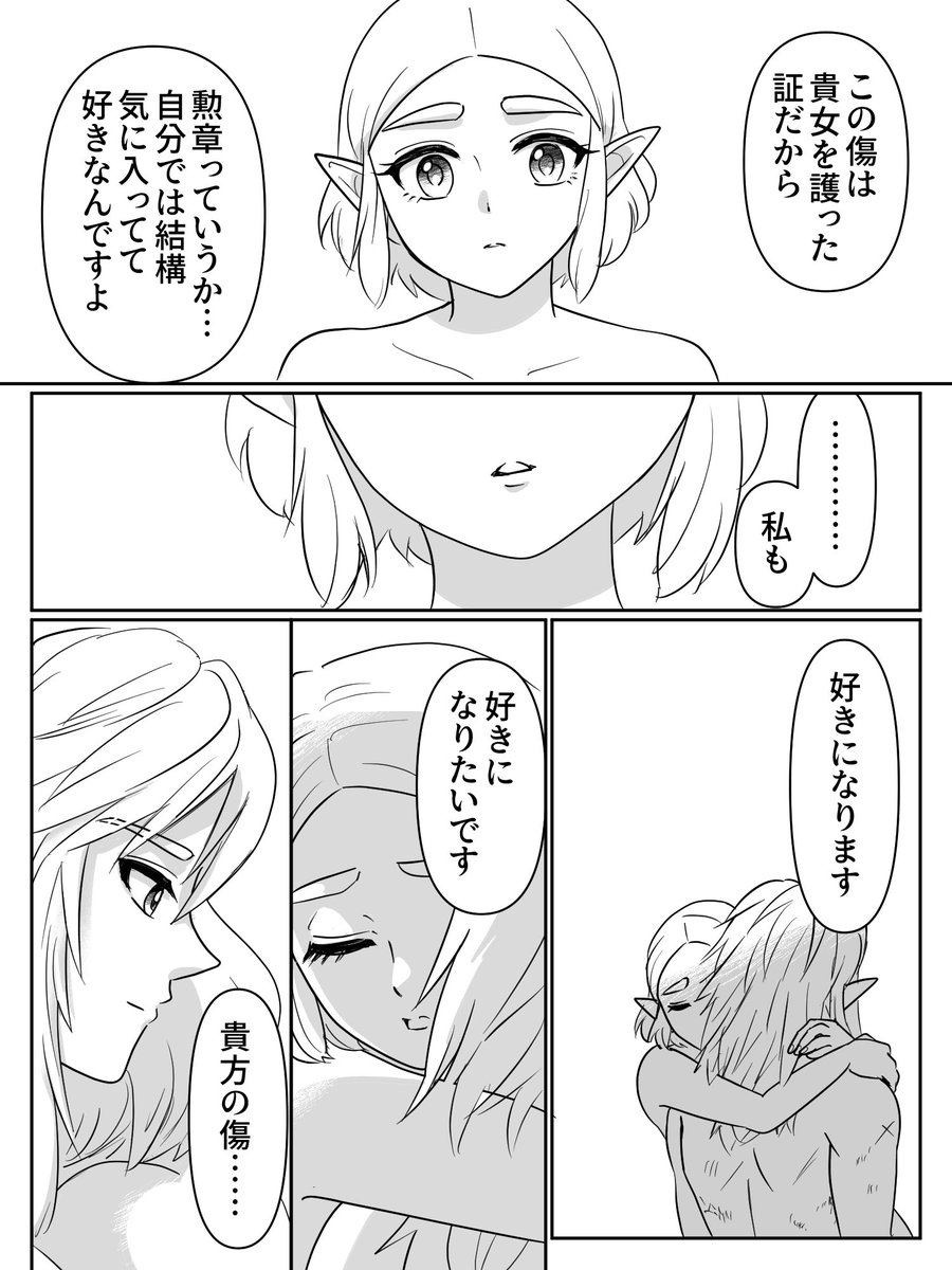 リンクの身体の傷についてのリンゼル漫画です
#zelink 