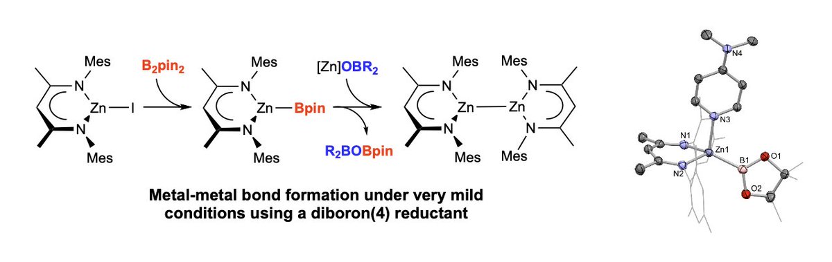 Aldridge Group (@groupaldridge) on Twitter photo Diboron(4) reductants for metal-metal bond formation!
Liam's work in <a href="/ChemicalScience/">Chemical Science</a> shows how metal-metal bonds can be formed under very mild conditions using commercial (& soluble) diboron(4) reagents as the overall reductant.
doi.org/10.1039/D4SC06…
<a href="/OxICFM/">OxICFM</a> <a href="/OxfordChemistry/">Oxford Chemistry</a> Diboron(4) reductants for metal-metal bond formation!
Liam's work in <a href="/ChemicalScience/">Chemical Science</a> shows how metal-metal bonds can be formed under very mild conditions using commercial (& soluble) diboron(4) reagents as the overall reductant.
doi.org/10.1039/D4SC06…
<a href="/OxICFM/">OxICFM</a> <a href="/OxfordChemistry/">Oxford Chemistry</a>