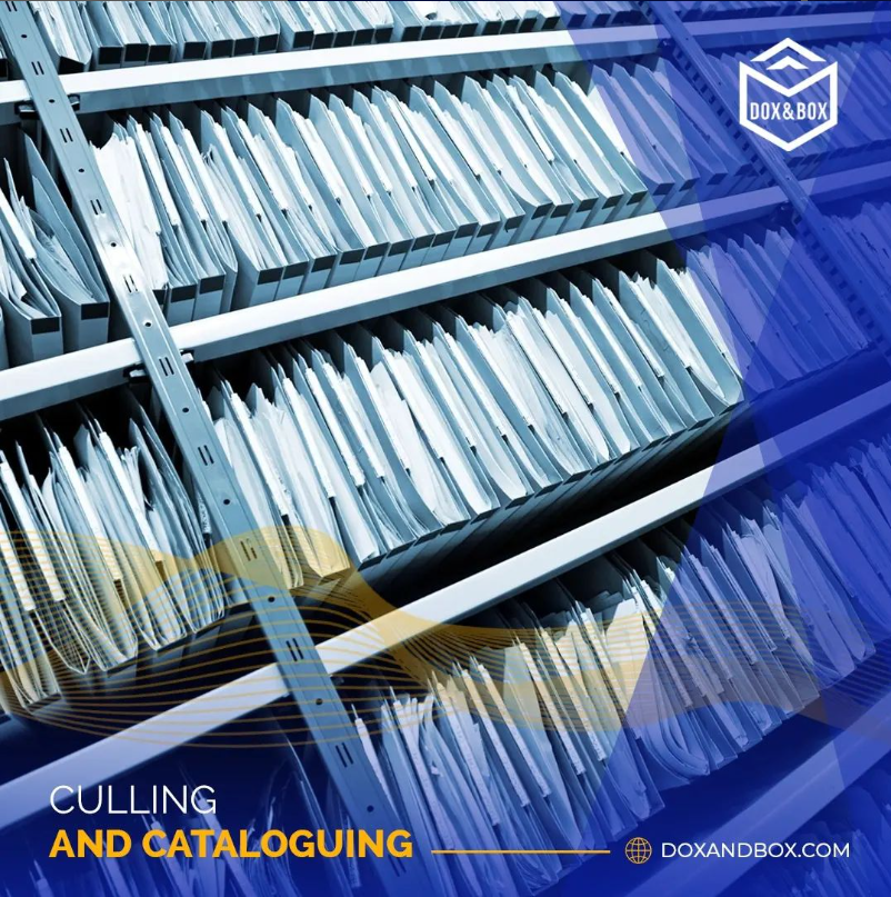 Dox and Box tweet media