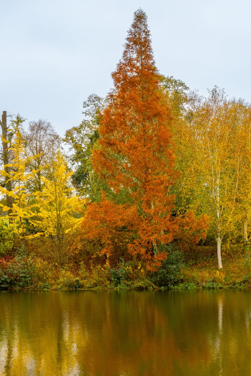 Fred Ixer tweet media