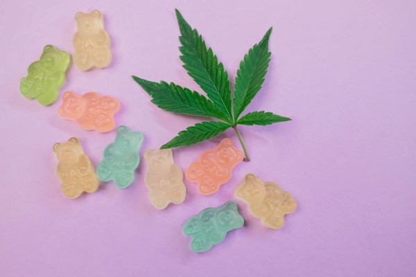 The Future of Medical Marijuana: Implications of Amendment 3
orlandomedicalnews.com/article/6637/t… #Medical #Marijuana #OrlandoMedicalNews #MedicalNews #HealthNews #Florida #Orlando #OrlandoNews