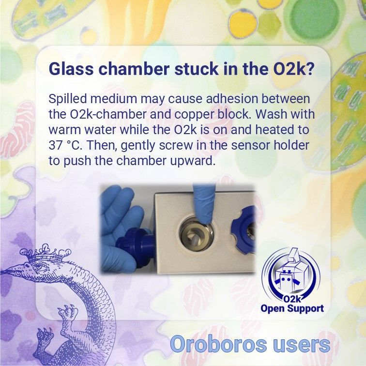 OroborosI's tweet image. Feeling stuck? If your O2k-chamber isn’t budging, there’s no need to panic. Check out this quick and easy solution:
buff.ly/4fnkfls
#O2kOpenSupport
