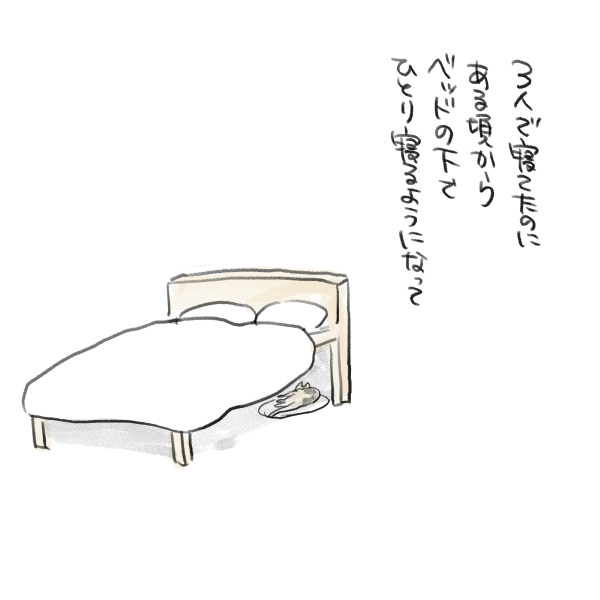私のお姫さま⑪ 