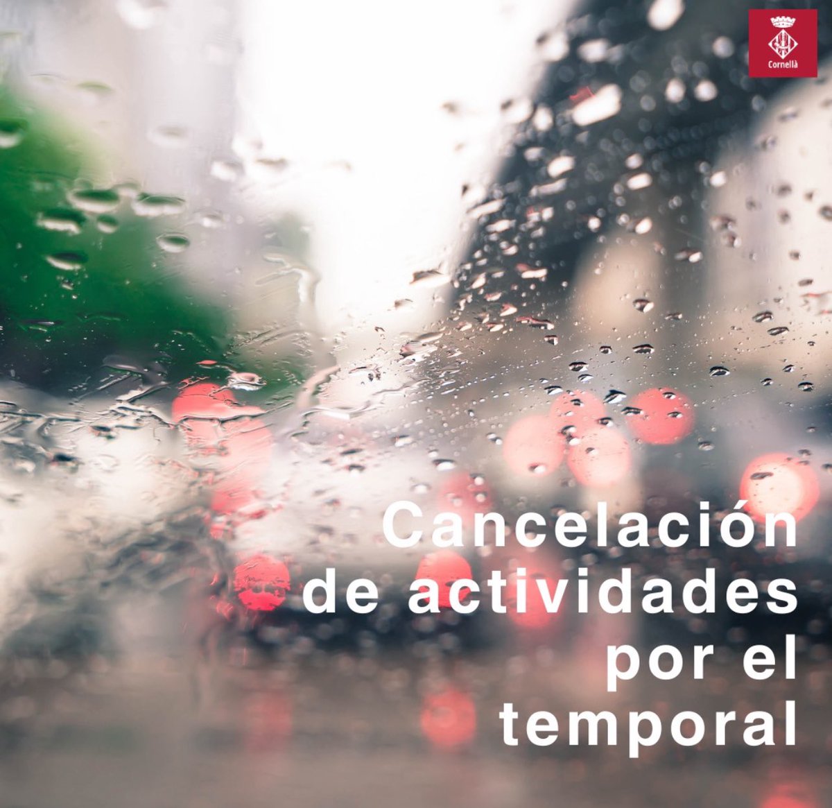 PELL i Can Mercader tweet media