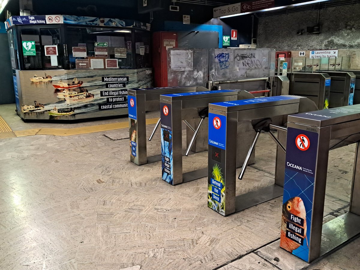 OceanaEurope's tweet image. This week in Rome we have two key messages for #Mediterranean countries:

🪸 Protect deep-sea habitats from #BottomTrawling
🏴‍☠️Strengthen transparency to end illegal fishing

@UN_FAO_GFCM #MedFish4Ever