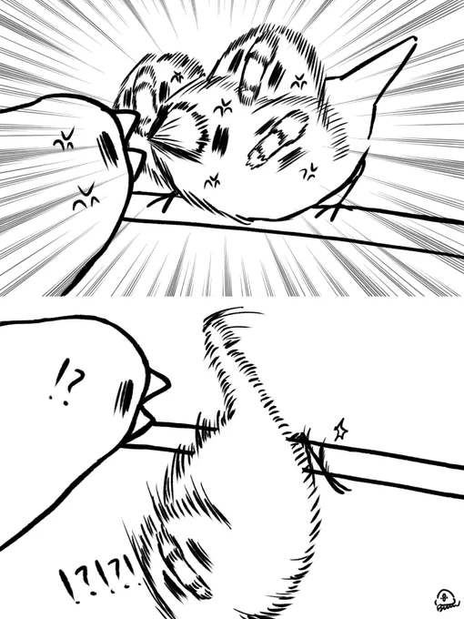鳥の喧嘩でよくある結末

片方が足滑らせて退場 