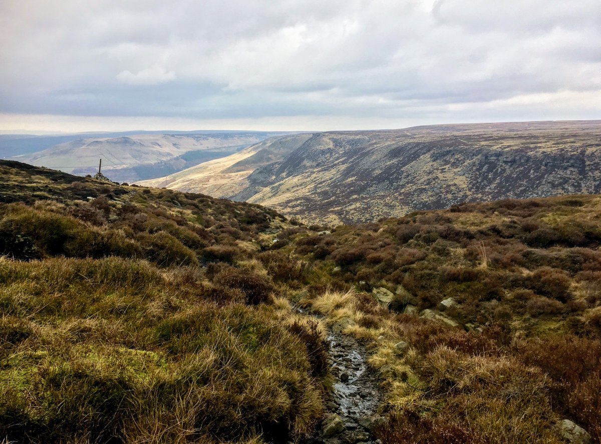 GM Ringway tweet media