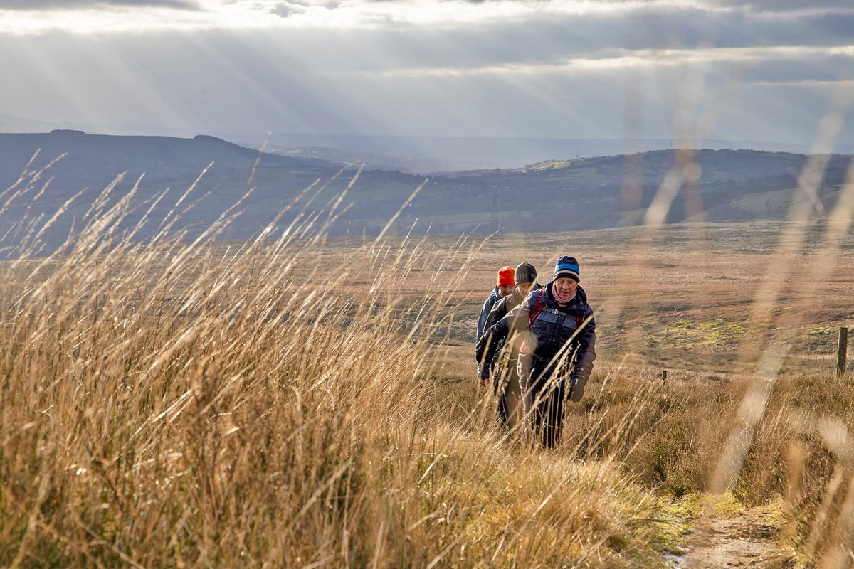 GM Ringway tweet media