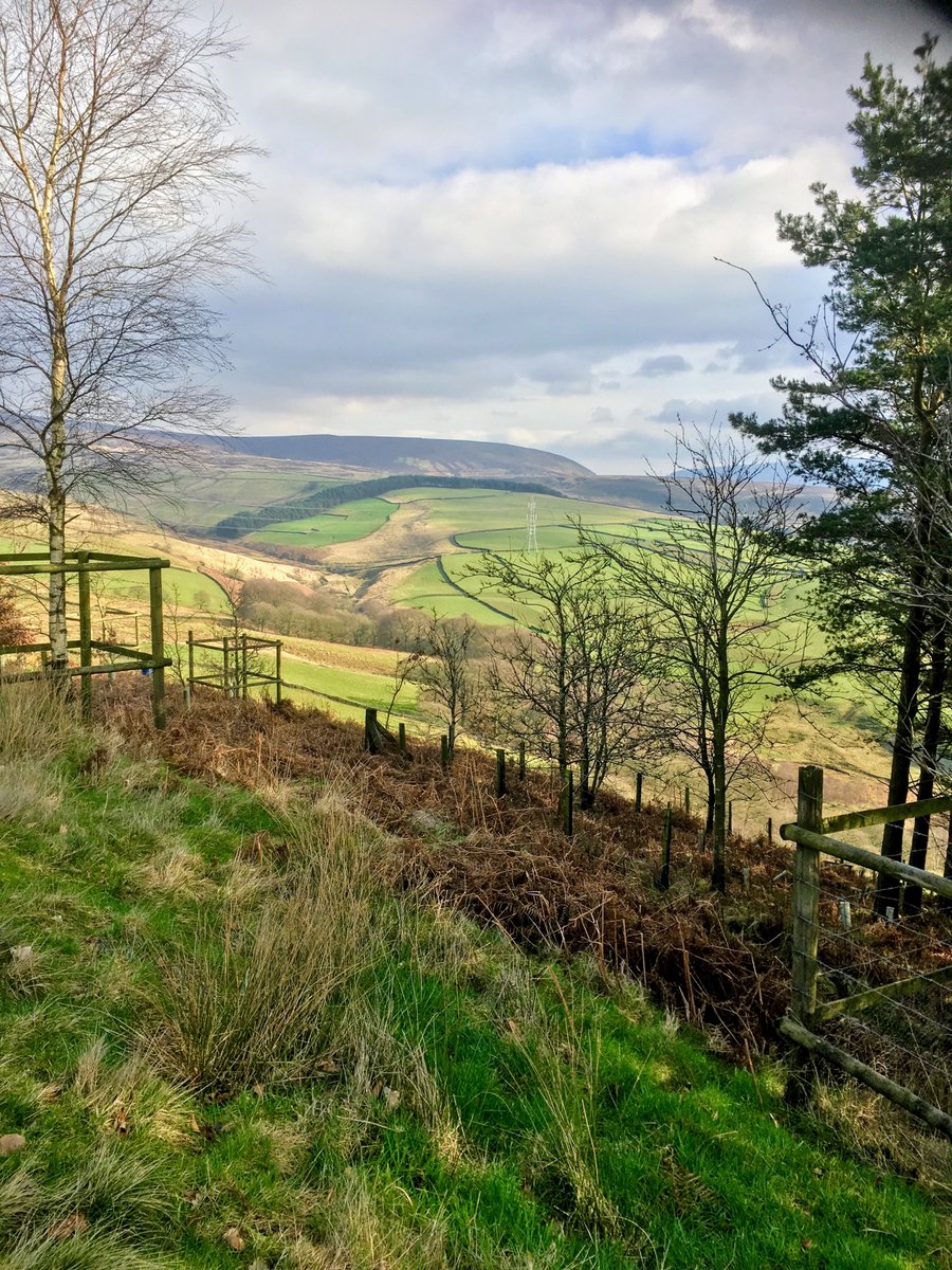 GM Ringway tweet media