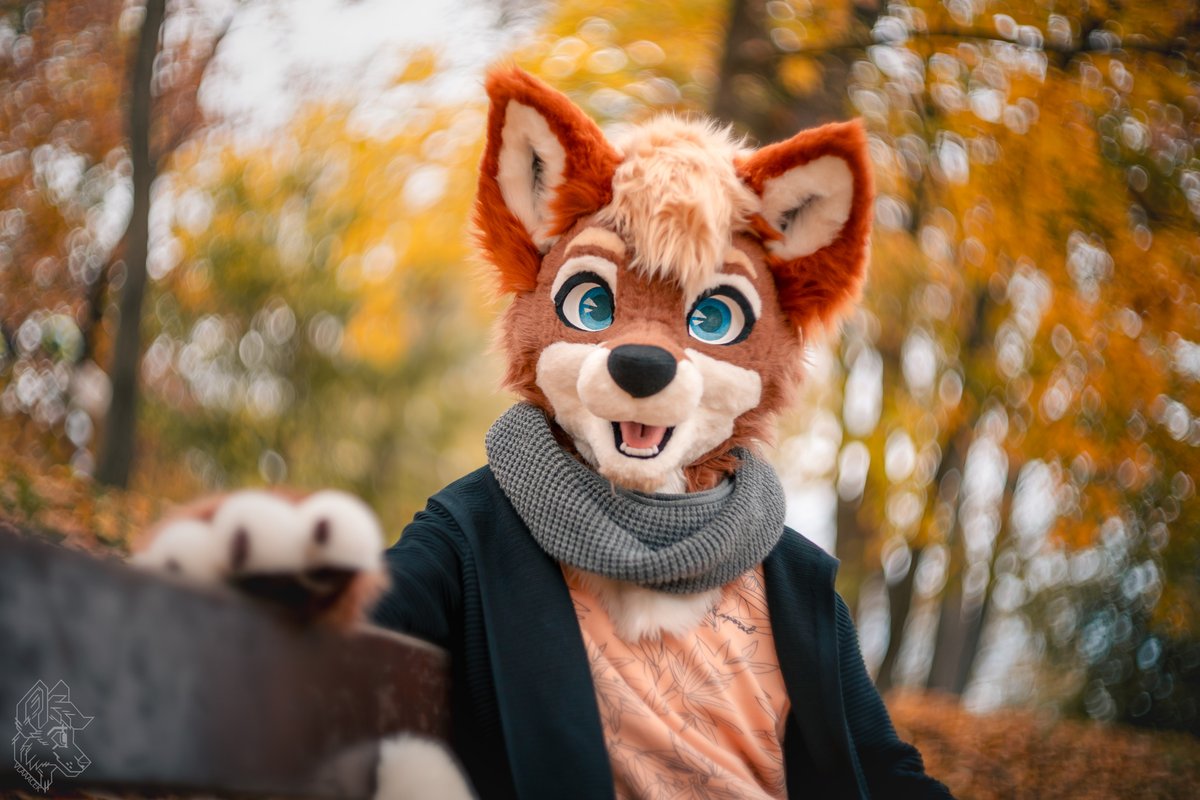 🍂

(guess who got a new lens x3)

🔺🔻 <a href="/FlupVolta/">Flup ⪢</a>