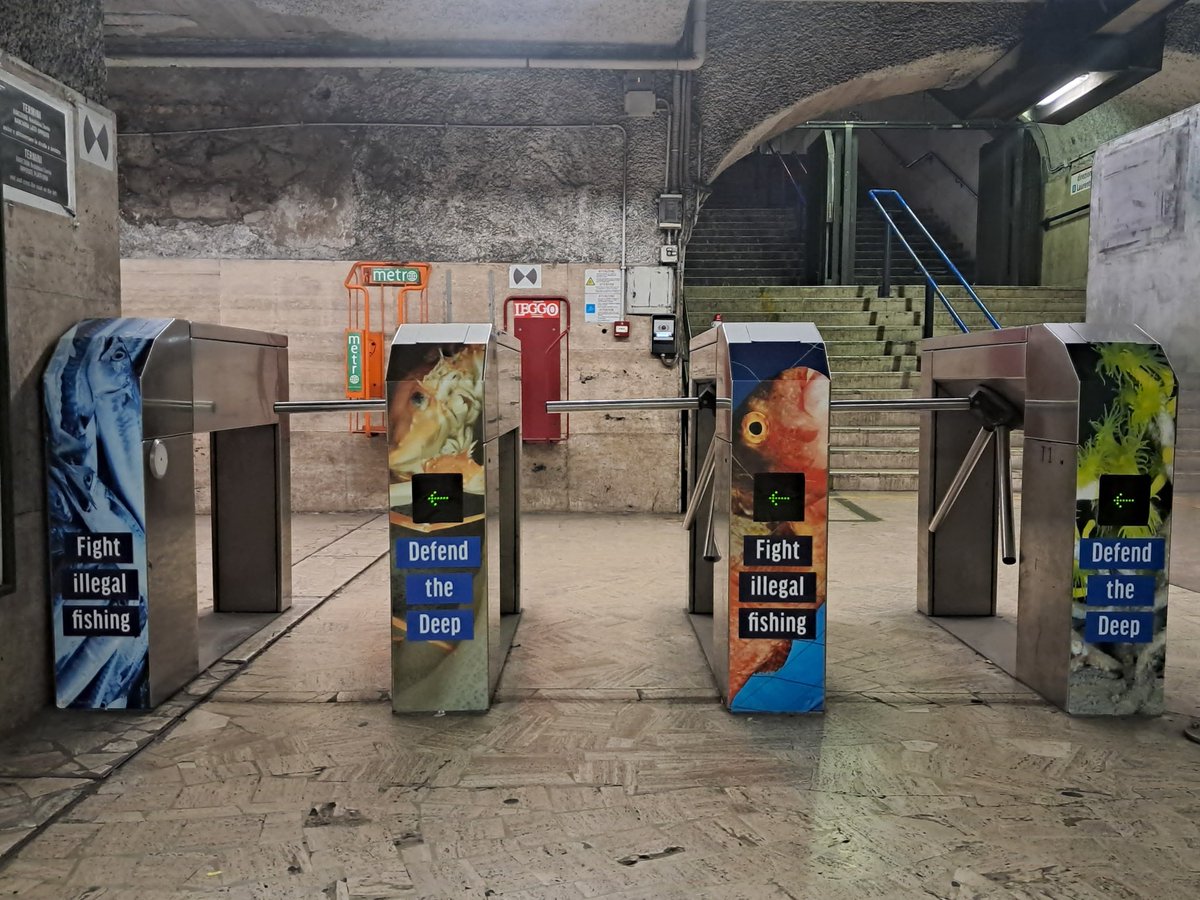 OceanaEurope's tweet image. This week in Rome we have two key messages for #Mediterranean countries:

🪸 Protect deep-sea habitats from #BottomTrawling
🏴‍☠️Strengthen transparency to end illegal fishing

@UN_FAO_GFCM #MedFish4Ever