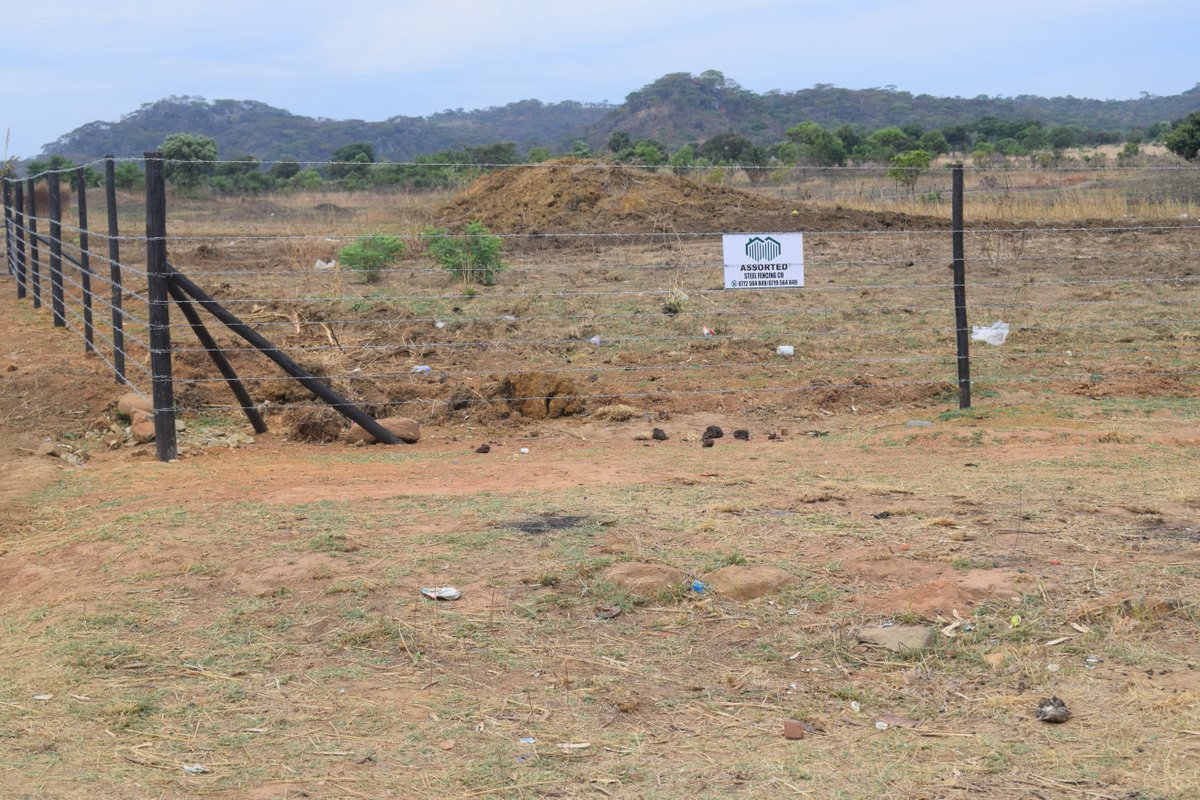 Community Alliance for Human Settlements Zimbabwe tweet media