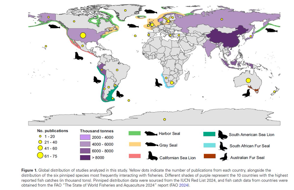 Compartimos publicación sobre interacción operacional entre pesquerías y lobos marinos de la Dra. Carmen Barrios-Guzmán et al. 
"Mitigation measures for pinniped-fisheries interactions based on knowledge of animal behavior" ICES Journal of Marine Science; doi.org/10.1093/icesjm…