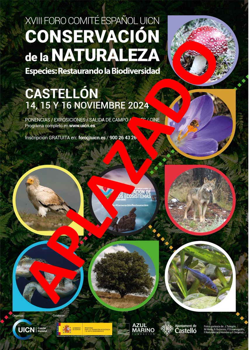📢 Debido a las trágicas inundaciones en la Comunidad Valenciana, aplazamos el XVIII Foro CeUICN de Conservación de la Naturaleza. Informaremos la nueva fecha pronto. Toda nuestra solidaridad con los afectados. 🌱 Para consultas: comite@uicn.es