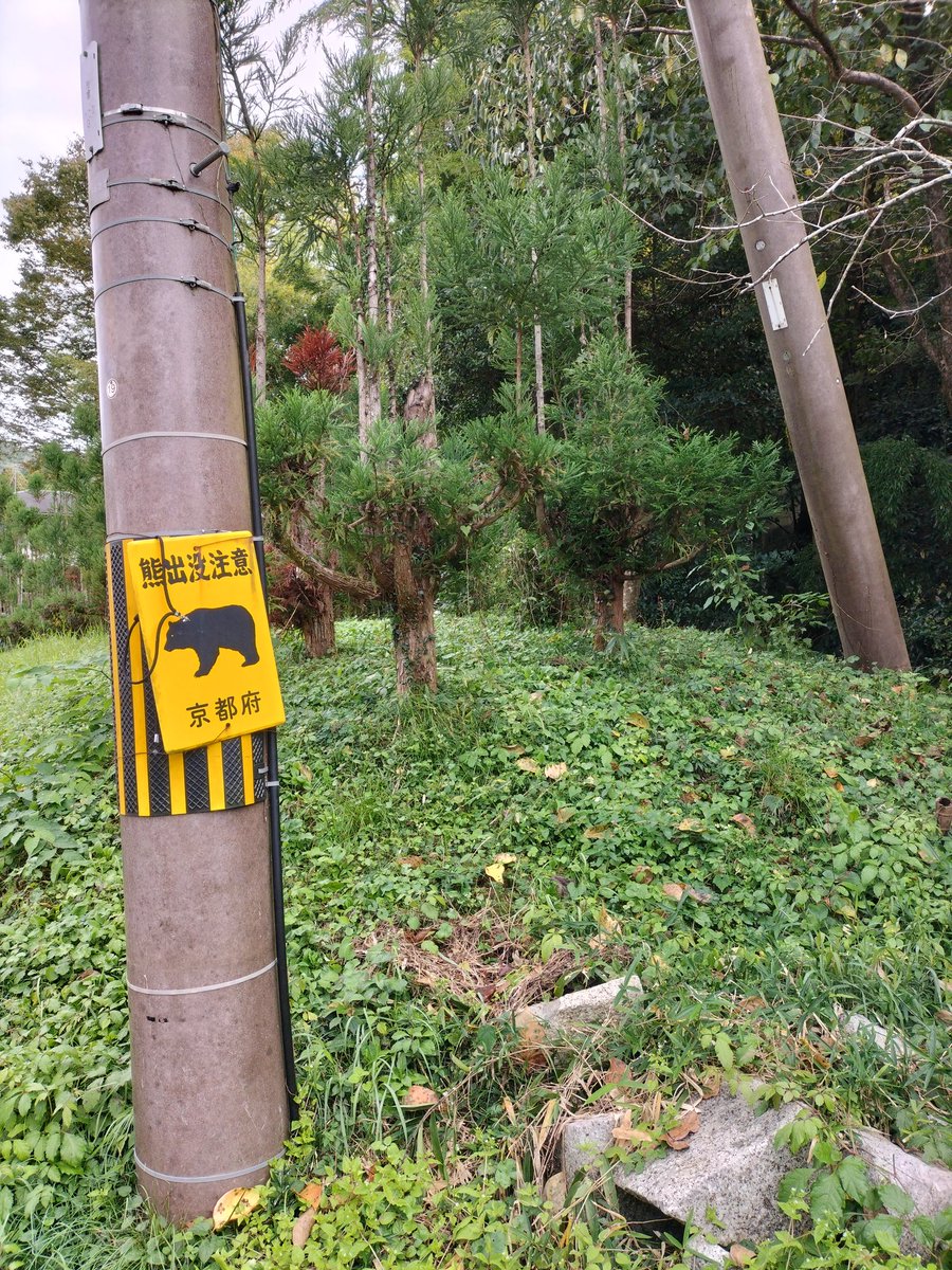 時は、平安時代中期の公卿であり歌人『光る君へ』で町田啓太さん演じる藤原公任が晩年を過ごした京都市左京区岩倉長谷···昔、朗詠谷・解脱寺跡
昔本当にこんな処に？って場所でした。家の近くにこんな歴史の跡を見ることが出来、熊注意⚠️に怯えながら少しロマンを感じました！🤔
