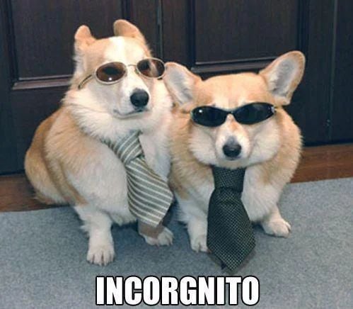 WholesomeMeme's tweet image. 