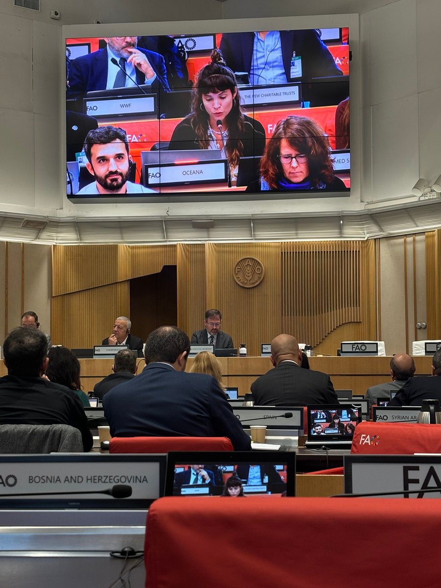 OceanaEurope's tweet image. This week in Rome we have two key messages for #Mediterranean countries:

🪸 Protect deep-sea habitats from #BottomTrawling
🏴‍☠️Strengthen transparency to end illegal fishing

@UN_FAO_GFCM #MedFish4Ever