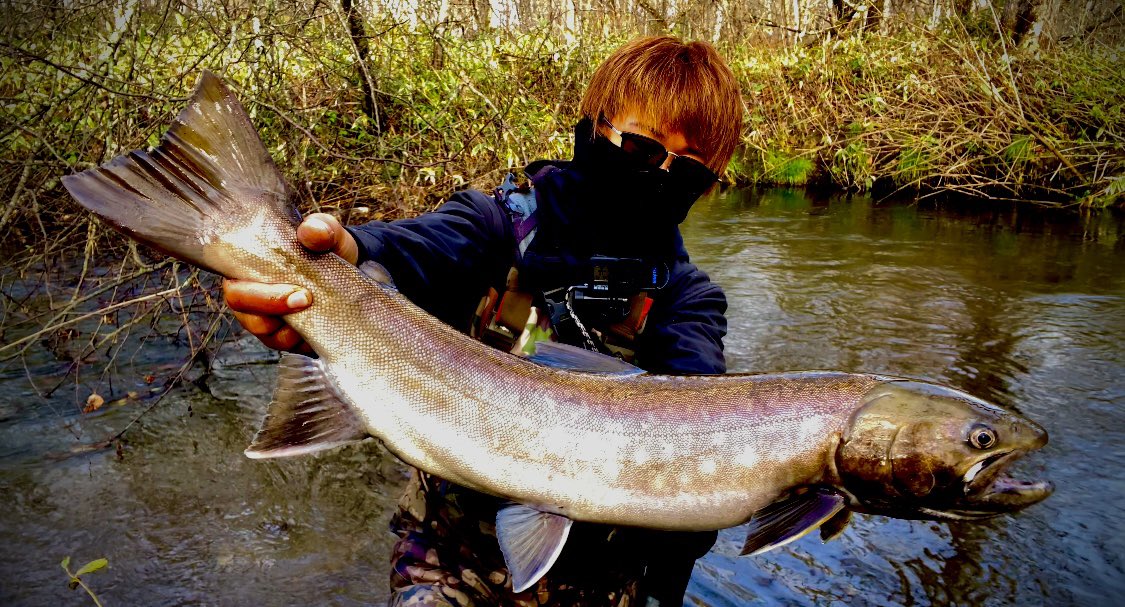 310civic's tweet photo. 本日の湿原雨鱒。72cm

#湿原河川
#fishman
#shimano
#simms https://t.co/OL6vUGbfh4
