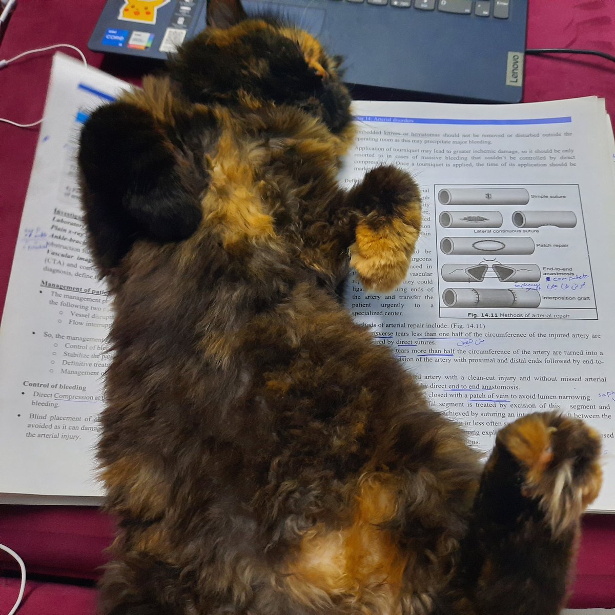 ارهقتها الجراحة