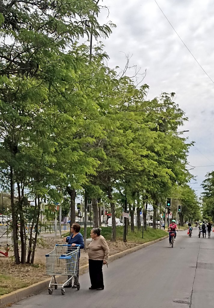 Ayer domingo íbamos a dar una vuelta piola y terminamos dando un recorrido intercomunal de unos 35km gracias circuitos de Calles Abiertas Familiares y <a href="/ciclorecreovia/">CicloRecreoVía</a> que paulatinamente se han ido complementando. Bien ahí <a href="/Gob_Santiago/">Gobierno de Santiago</a> por perseverar en estas rutas de bienestar!
