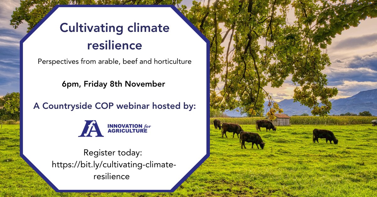 InnovationforAg's tweet photo. 🌱 It’s Countryside COP 2024!

Join us this Friday, 8th Nov, at 6 pm to hear from leading farmers Andrew Court, Laura Awdry, Tracy Russell and David Newman on tackling climate change in UK farming.

They’ll cover:
☘️ Adapting vs. mitigating climate change
🌪 Reducing storm damage impact
🐮 Grazing & forage strategies to cut nitrogen use

Sign up to join live ➡️ https://t.co/am0OA2pCrP

#ClimateSmartFarming #FarmResilience #CountrysideCOP