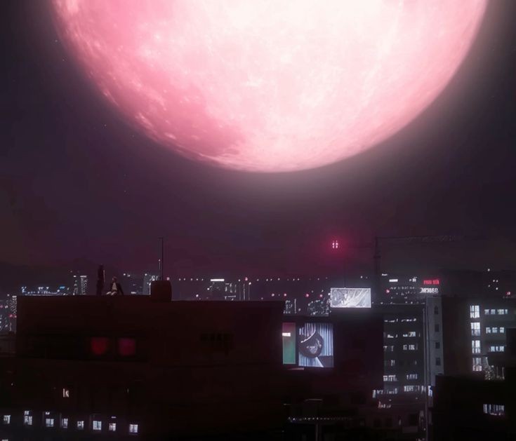 🪴🧸🐛 tweet media