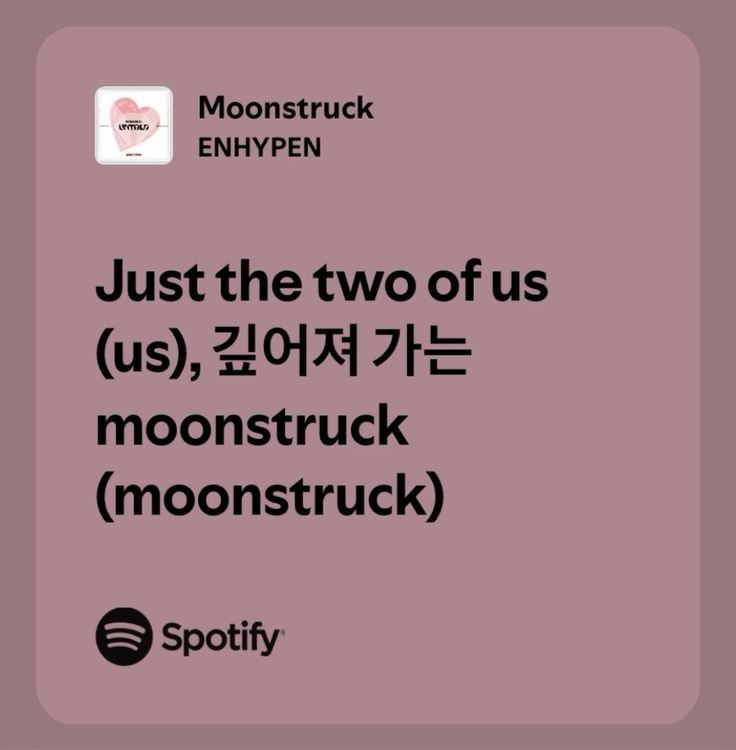 🪴🧸🐛 tweet media