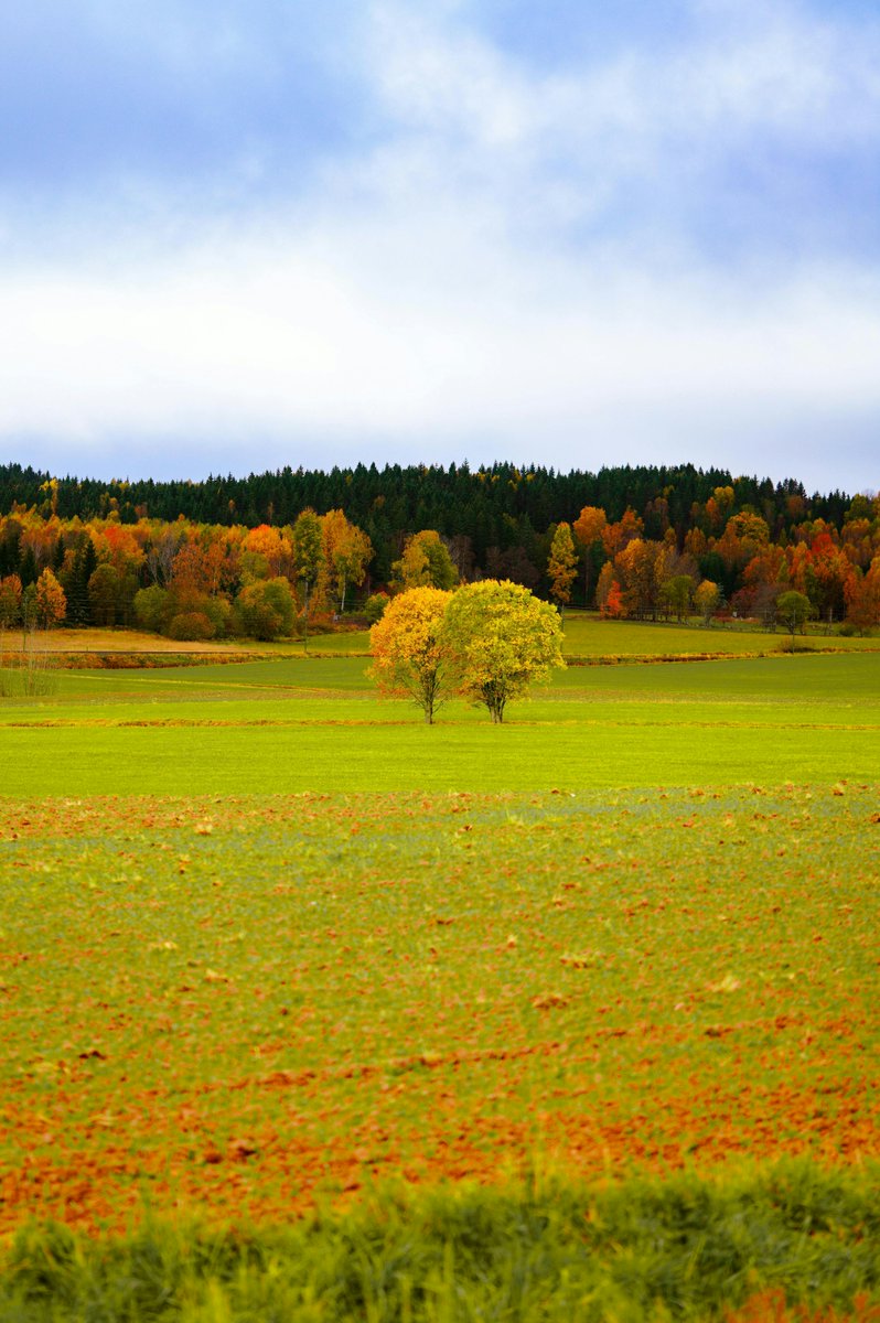 BulkCarriersPEI's tweet photo. We all love Fall weekend road trips! Dear drivers, please share with us your favorite roadway to see the fall foliage! π
#FallWeekends https://t.co/HWflTocwCr