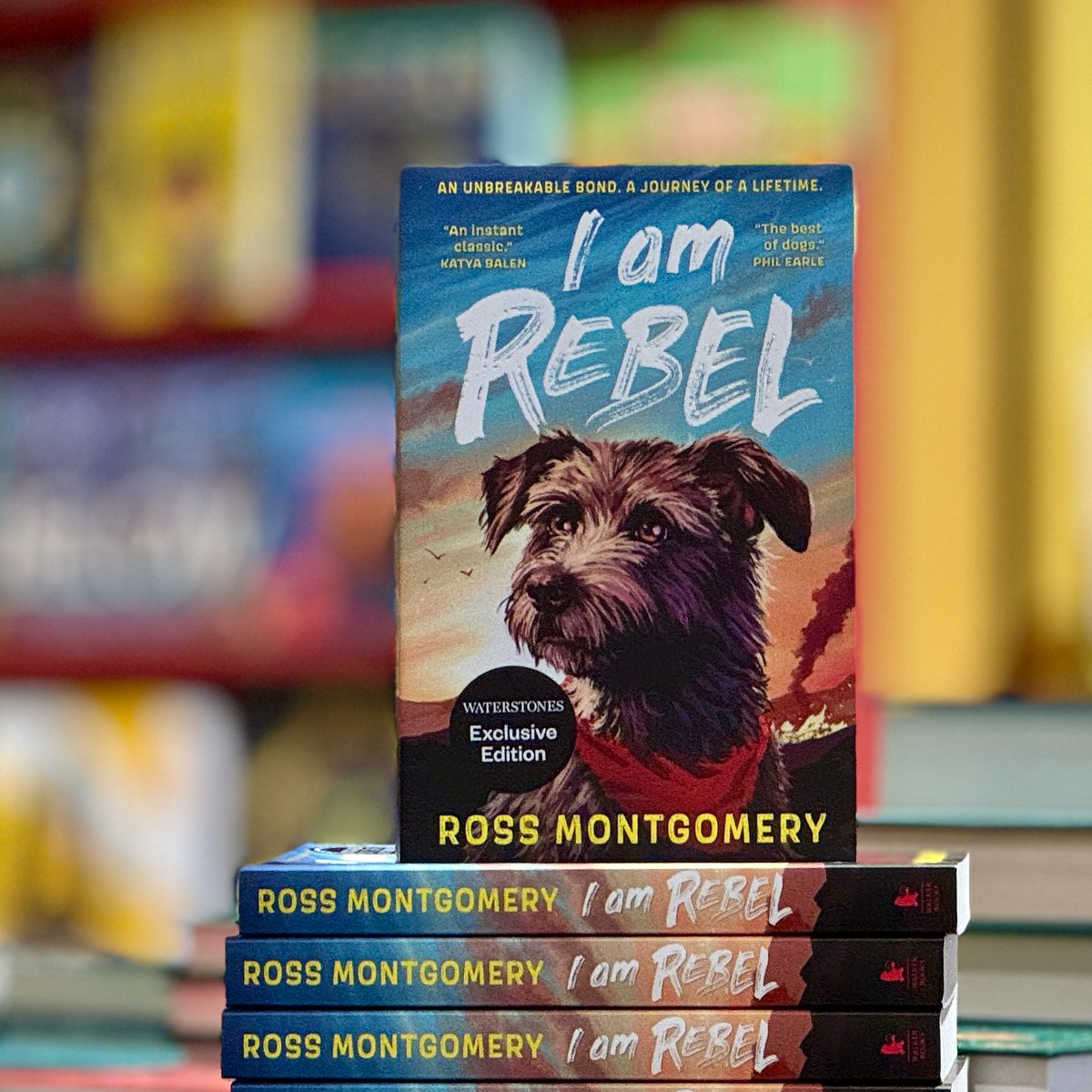 Waterstones (@waterstones) on Twitter photo 'I'm Tom’s dog, and he’s my human. We belong to each other.'
I AM REBEL is <a href="/mossmontmomery/">Ross Montgomery</a>'s heartwarming adventure about a canine hero on a quest to rescue his master who has gone to war. Shortlisted for the 2024 #BookOfTheYear: waterstones.com/book/i-am-rebe… 'I'm Tom’s dog, and he’s my human. We belong to each other.'
I AM REBEL is <a href="/mossmontmomery/">Ross Montgomery</a>'s heartwarming adventure about a canine hero on a quest to rescue his master who has gone to war. Shortlisted for the 2024 #BookOfTheYear: waterstones.com/book/i-am-rebe…