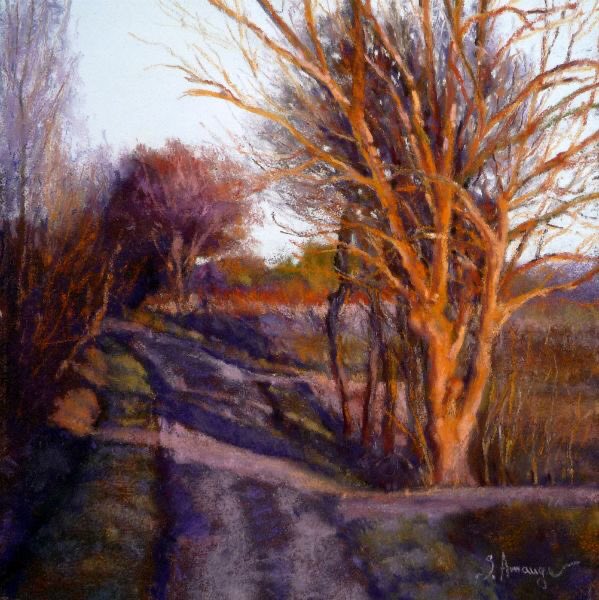 helen warlow tweet media