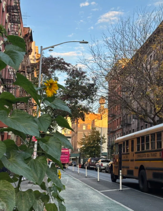 MillyleeX's tweet image. 