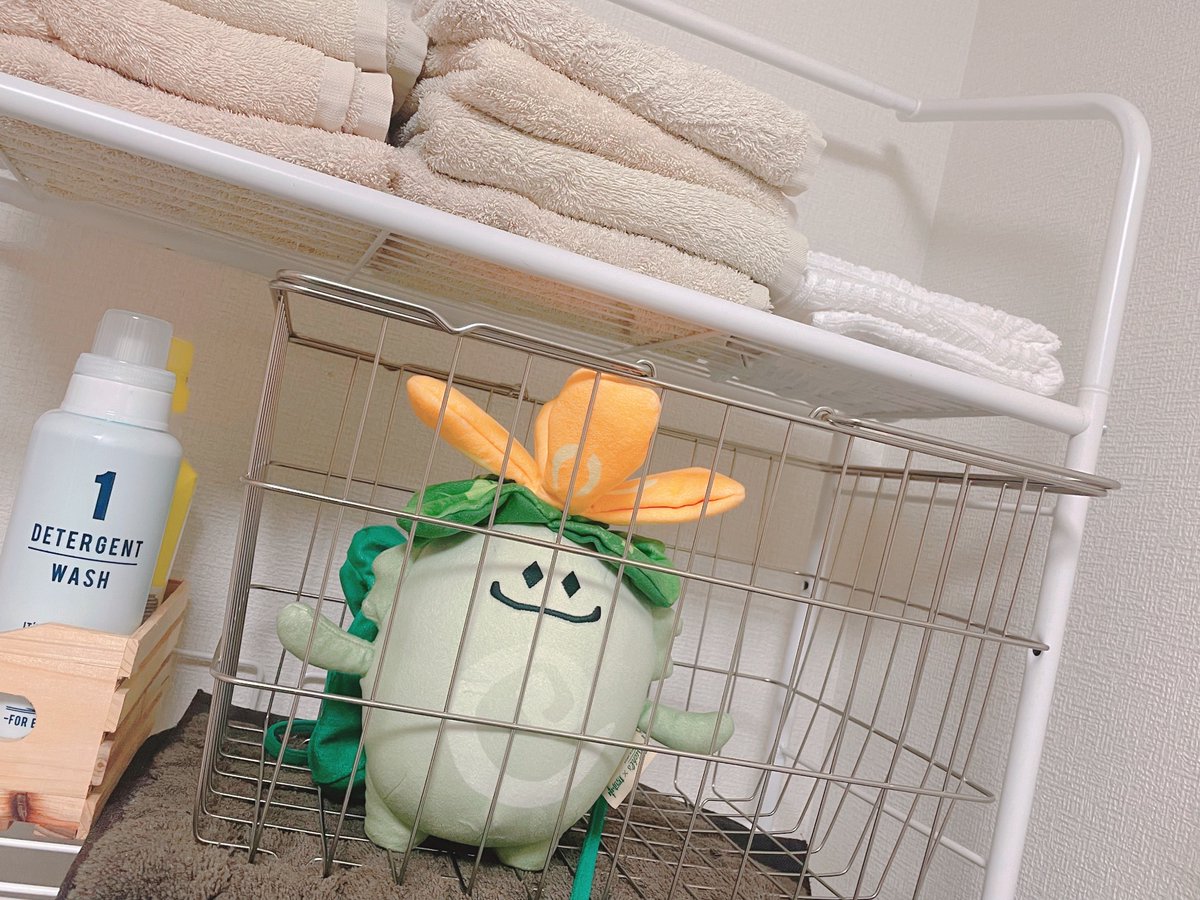 oimoya333's tweet image. 🌱