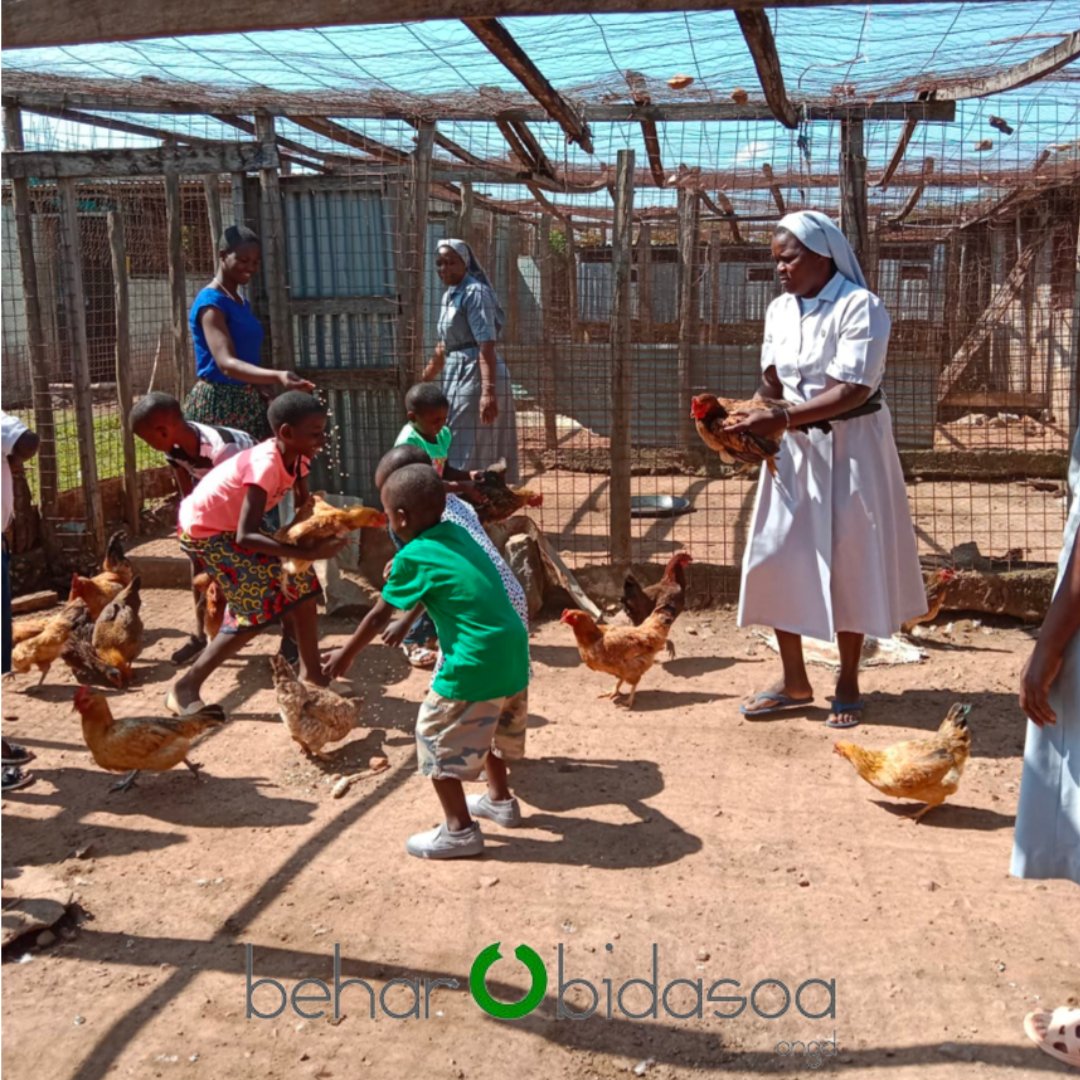 Behar Bidasoa tweet media