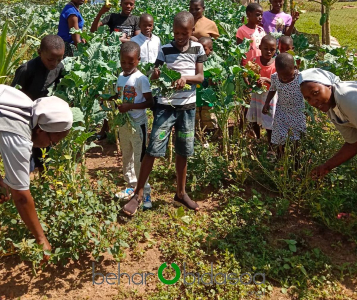 Behar Bidasoa tweet media