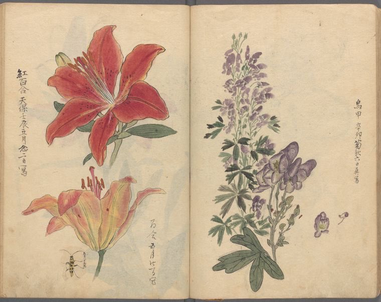 ? (@uniqfr) on Twitter photo 