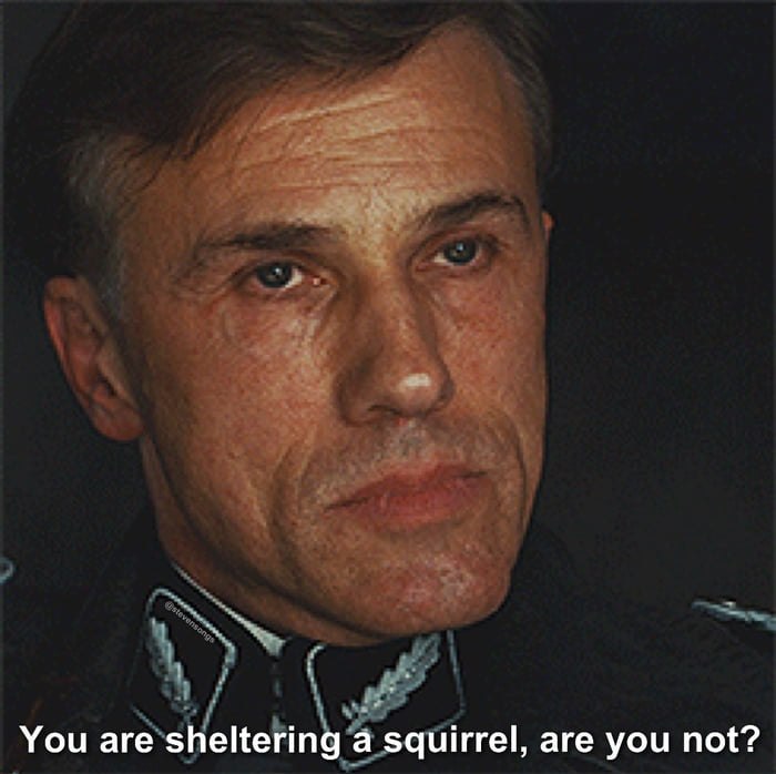 #squirrel #Peanut #PeanutTheSquirrel #peanutthesquirell