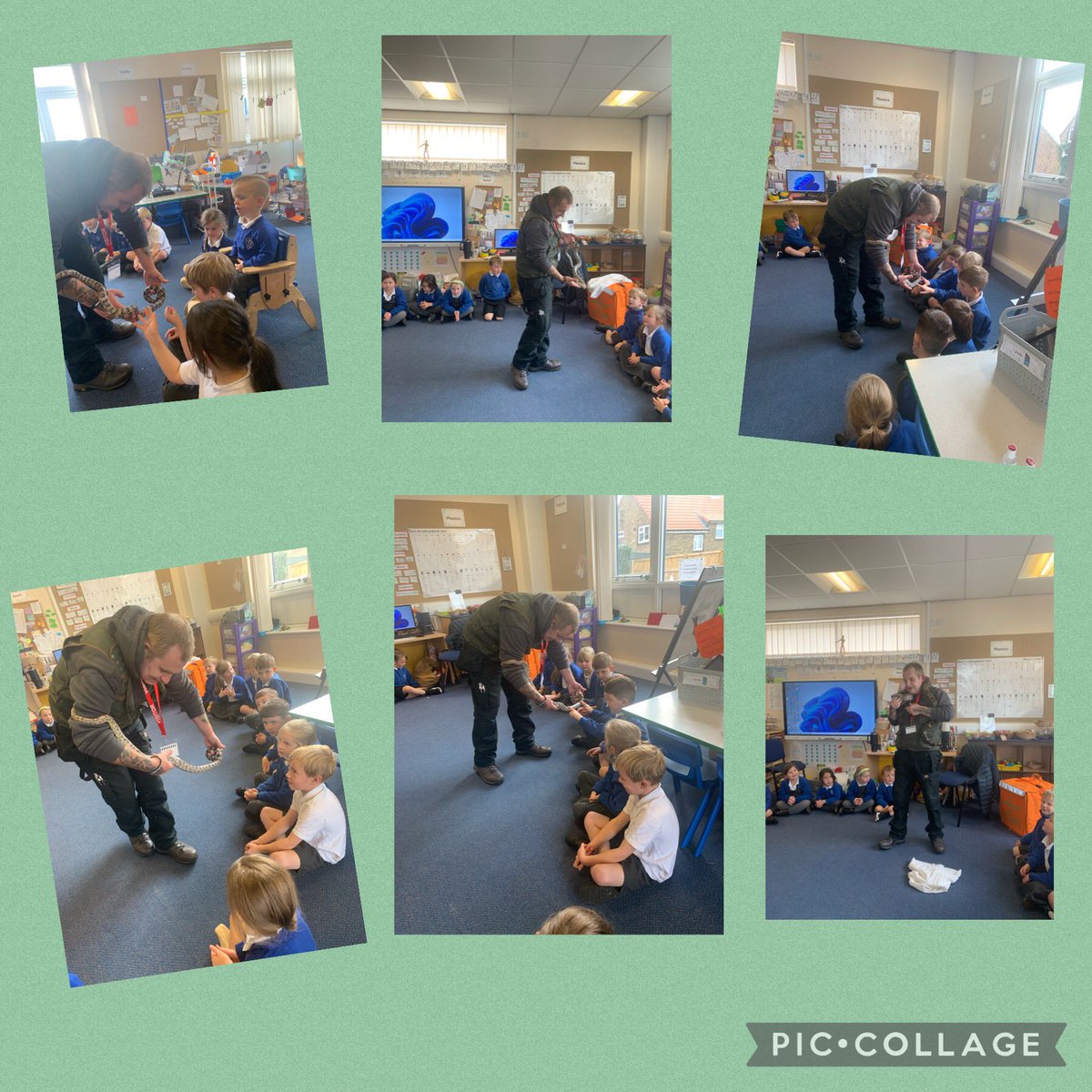 willow_yr1's tweet photo. The children loved their topic destination before half term. They loved learning about the snakes and bearded dragon. 
Super listening skills, well done! https://t.co/jl41dc07jB