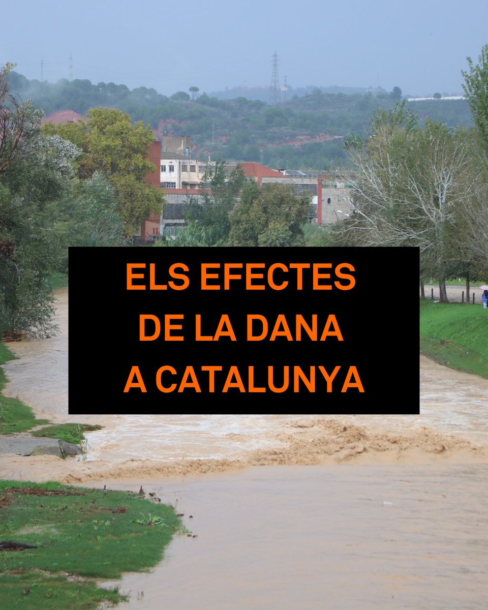 3CatInfo's tweet photo. El govern espanyol prohibirà acomiadaments d'empleats que no vagin a la feina per la dana https://t.co/szDU41VkW8 https://t.co/Ip8VGwoid1