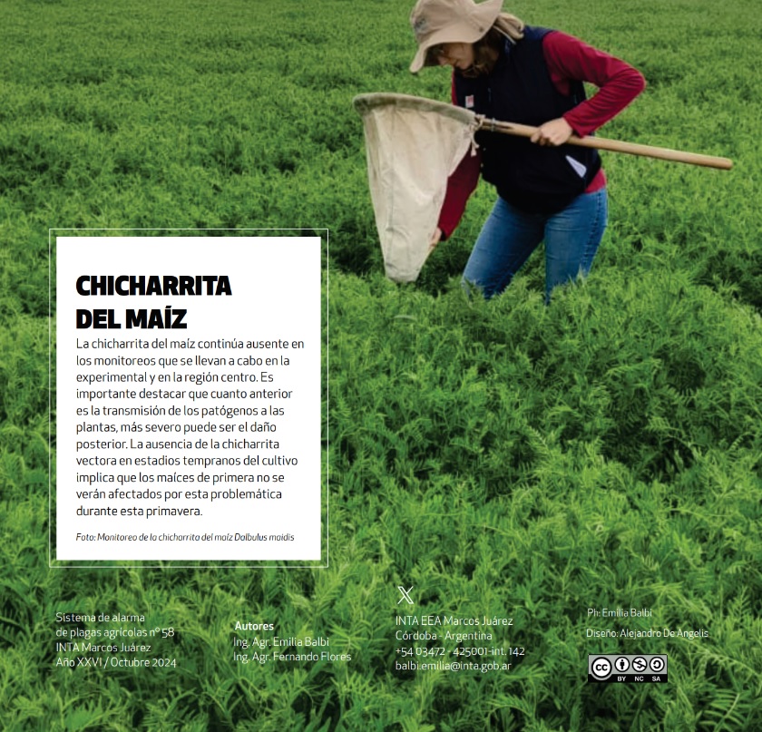 SISTEMA DE ALARMA DE PLAGAS Nº 58

‼️INFORME COMPLETO 👉LINK: bit.ly/iap1024

<a href="/INTAMsJuarez/">INTA Marcos Juárez</a>
<a href="/emilia_balbi/">Emilia Balbi</a>

#intamarcosjuarez #alarmadeplagas #chicharrita