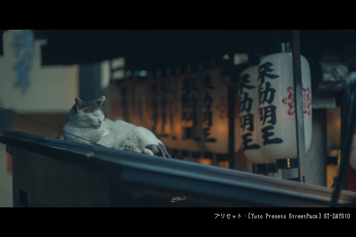 OsakaPhotoyade's tweet photo. Cinematic Osaka https://t.co/wBi27etPRX