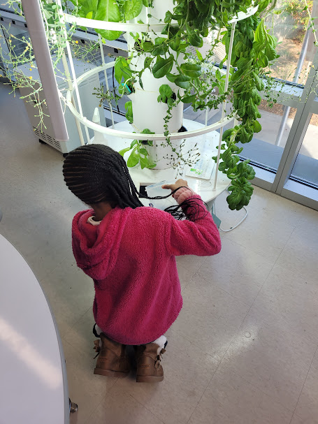 HumphriesSTEM's tweet photo. We have a new position at Humphries ES! These students were the first to be our Tower Garden Guardians. They are helping to keep our plants healthy and growing. #STEM #Hydroponics #GrowInSTEM #Roadrunners https://t.co/f91uVwh85U