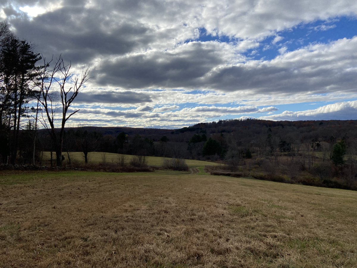 Laurie Smith Murphy tweet media