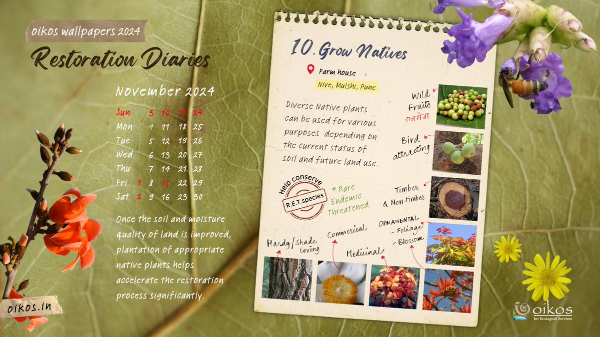 OIKOS for ecological services tweet media